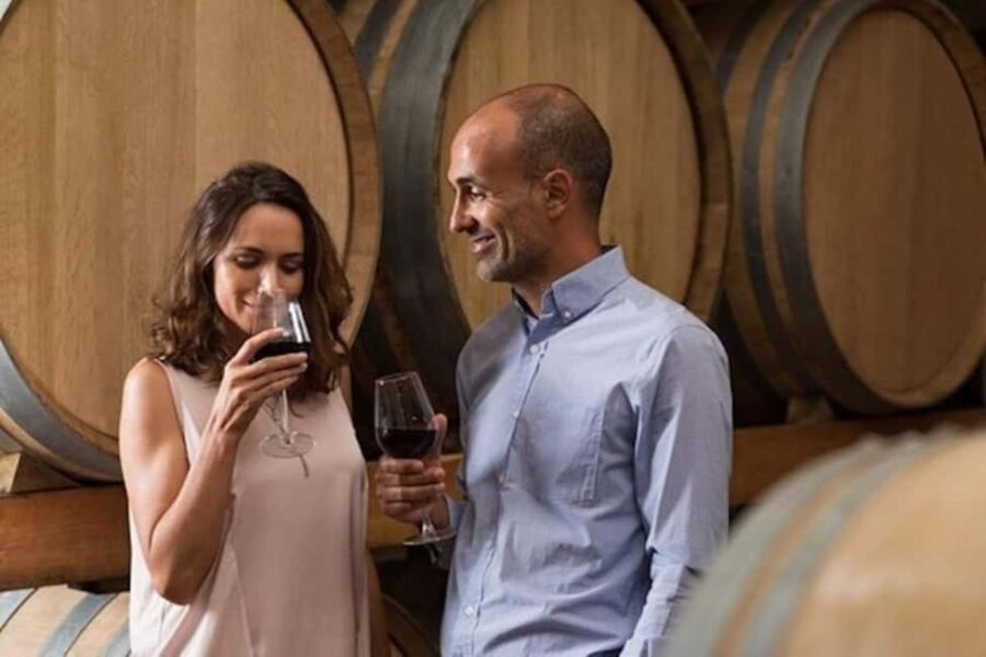 SF: Napa & Sonoma Wine Tour & Hop-on Hop-off Tour (Save 15%) - Transportation, Timing, and Practicalities