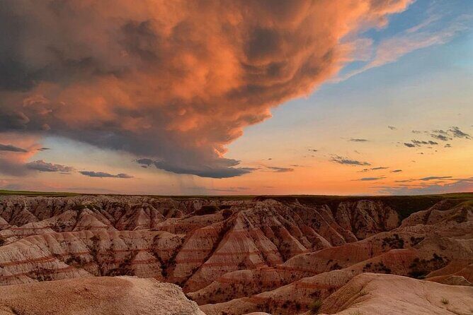 Shared Badlands and Wall Drug Store Experience - Pricing and Value Analysis