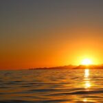 Shared Cabo Sunset Cruise with Open Bar and Scenic Views - The Sum Up