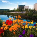 Shared Fairbanks to Denali National Park Entrance Transport - What’s Included and What’s Not