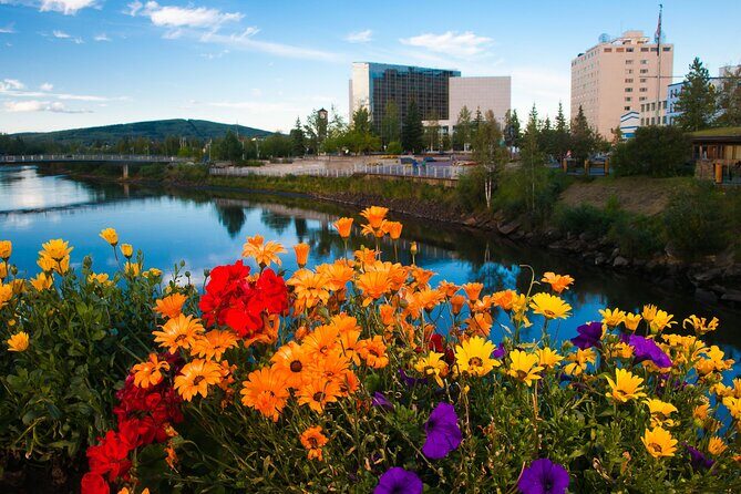 Shared Fairbanks to Denali National Park Entrance Transport - What’s Included and What’s Not