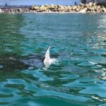 Shared Sailing Adventure Explore Puerto Vallarta by Sea - Frequently Asked Questions