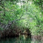 Shared Speedboat and Snorkeling Adventure in Cancun - Detailed Breakdown of the Experience