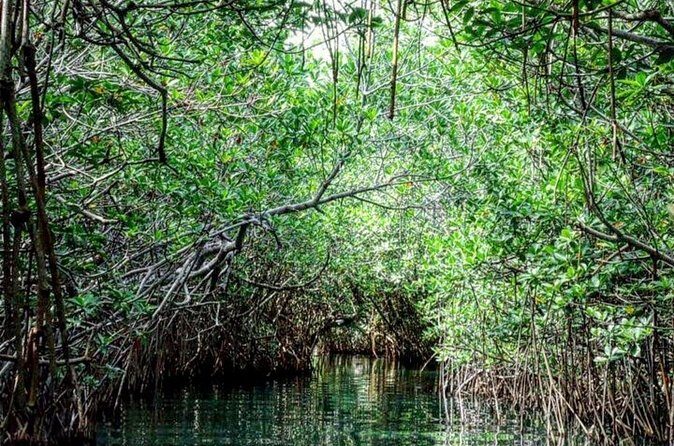 Shared Speedboat and Snorkeling Adventure in Cancun - Detailed Breakdown of the Experience