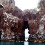 Shared Tour to Isla Espíritu Santo and Snorkeling with Sea Lion - The Itinerary in Detail