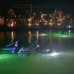 Sharkey's Glass Bottom Fish Feeding LED Night Tour in Venice, FL - Practical Details and Why They Matter