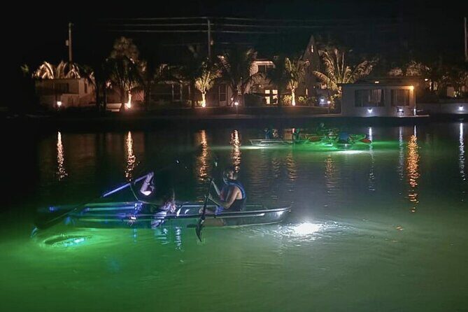 Sharkey's Glass Bottom Fish Feeding LED Night Tour in Venice, FL - Practical Details and Why They Matter