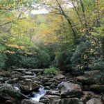 Shining Rock Guided Tour - Final Thoughts