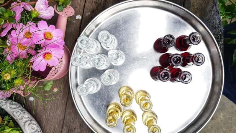 Shkodra: Walking Tour with Traditional Dinner - The Traditional Albanian Dinner