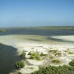 Shore Excursion: Buggy Tour at Punta Sur & Beach Visit - The Itinerary: A Well-Structured Mix of Sights and Fun