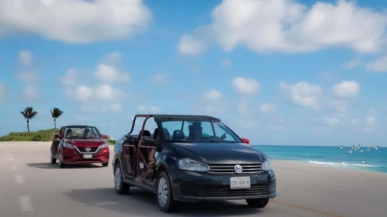 Shore Excursion: Buggy Tour with Mayan Ruins & Beach Time - An In-Depth Look at the Tour Itinerary