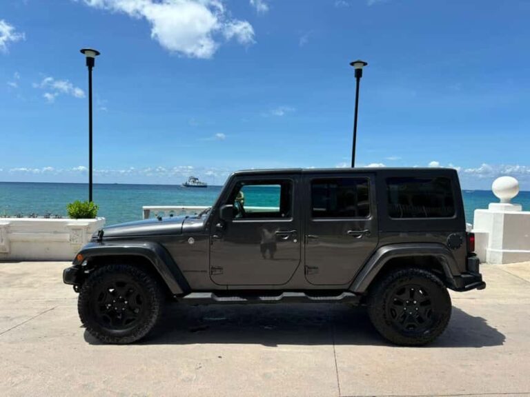 Shore Excursion: Cozumel Island Jeep Tour with Beach Visit - Overall Experience and Value