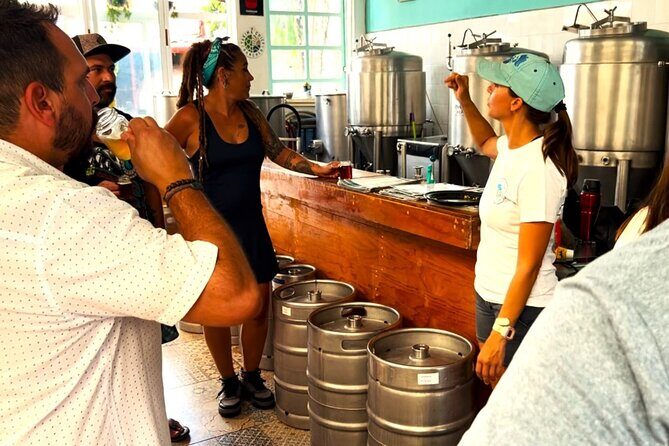 Shore Excursion Flavors of Mexico Tacos Beer and Mezcal - Practical Tips for Booking & Participating