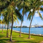 Shore Excursion from Port of Miami: City and Cruise Tour - The Itinerary in Detail: What You Can Expect