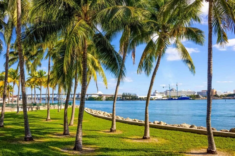 Shore Excursion from Port of Miami: City and Cruise Tour - The Itinerary in Detail: What You Can Expect