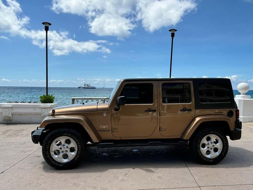 Shore Excursion: Jeep Tour to Punta Sur Park with Lunch - From the Cruise Terminal to Cozumel’s Natural Wonder  