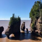 Shore Excursion to Hopewell Rocks and Fundy National Park - The UNESCO Fundy Biosphere Reserve and Nature Walks