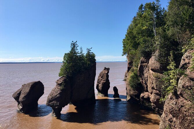 Shore Excursion to Hopewell Rocks and Fundy National Park - The UNESCO Fundy Biosphere Reserve and Nature Walks