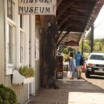 Shore Excursion Zipline Tour for Pride Of America Passengers - Who Will Love This Tour?