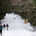 Shuttle to Snoqualmie Pass Ski and Snowboard - How the Experience Unfolds: A Typical Trip