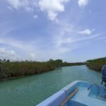 Sian Ka muyil lagoon tour floating + Cenote - An in-depth look at the Sian Ka muyil lagoon tour: what to expect