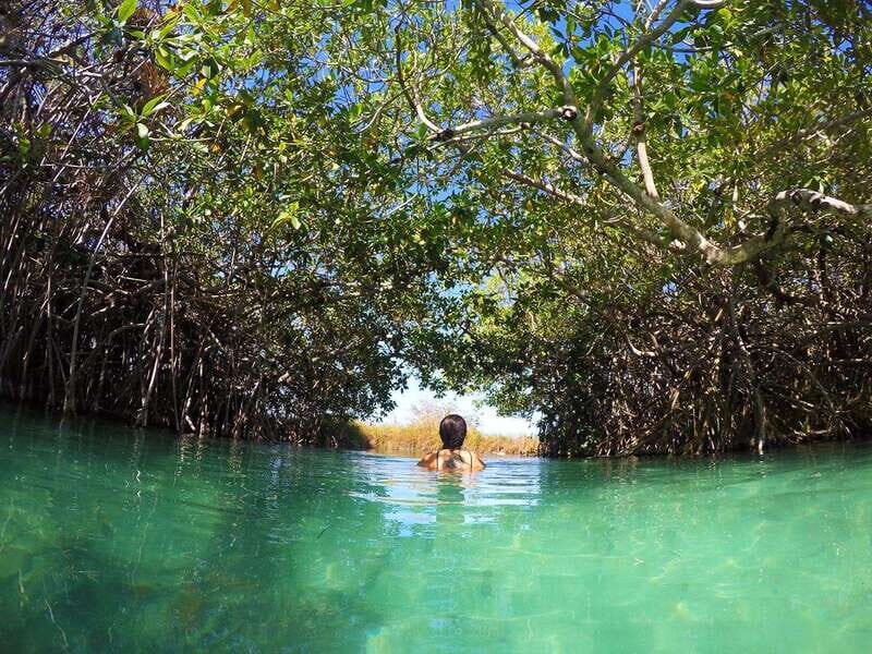 Sian Ka'an Channels and Underground River - Private Tour - What to Expect from the Details