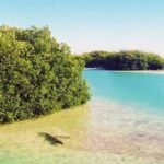 Sian Ka'an Reserve Tour - Final Thoughts: Who Should Consider This Tour?