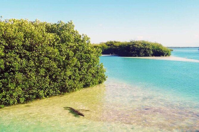 Sian Ka'an Reserve Tour - Final Thoughts: Who Should Consider This Tour?