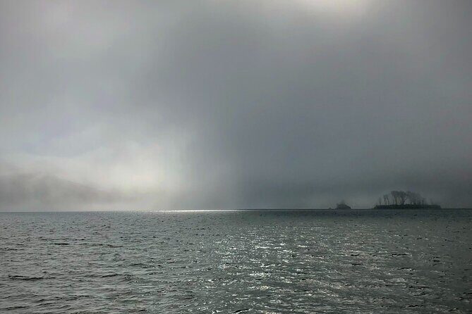 Sick Day Midweek Kayak Tour on Tomales Bay - Why This Tour Offers Great Value