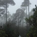 Sierra Norte 1 Day Guided Hiking - Frequently Asked Questions