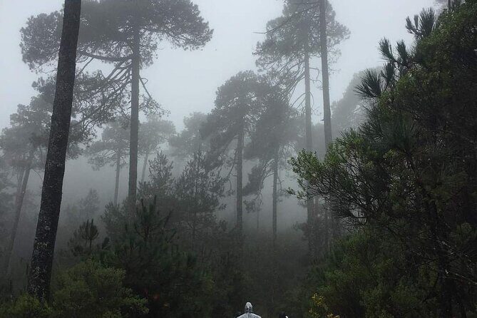 Sierra Norte 1 Day Guided Hiking - Frequently Asked Questions