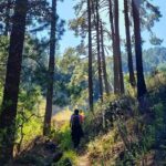 Sierra Norte Hike and Indigenous Village Full-Day Adventure - Introduction: Why This Tour Stands Out