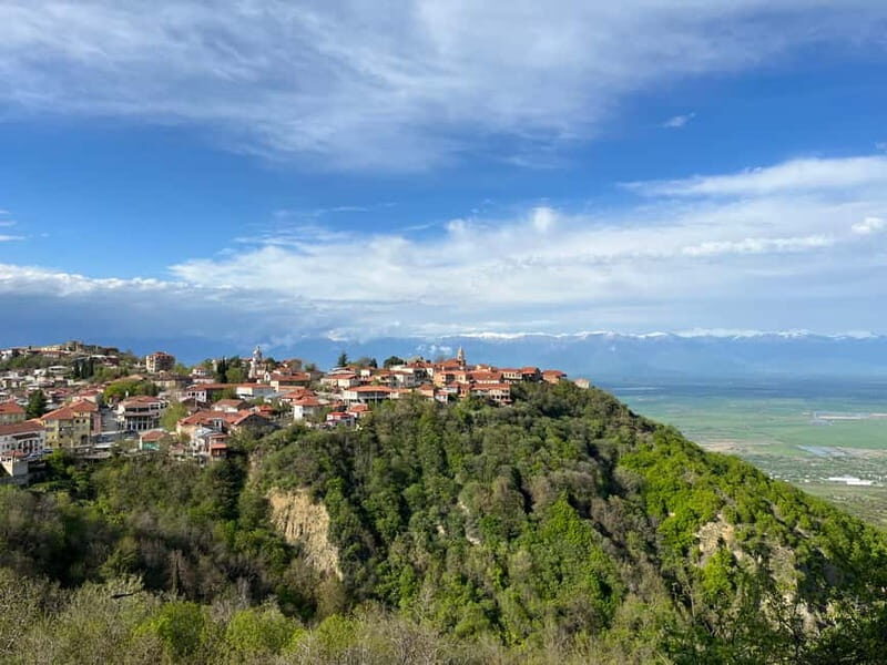Sighnaghi Day Trip with wine tasting and Bodbe Monastery - Bodbe Monastery: A Spiritual Sanctuary  