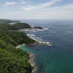 Sighting DE Marine Mammals and Snorkeling - The Overall Atmosphere and Experience