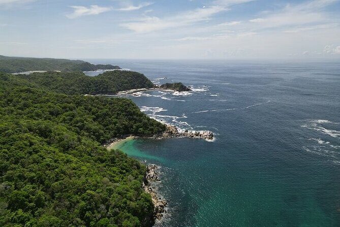 Sighting DE Marine Mammals and Snorkeling - The Overall Atmosphere and Experience