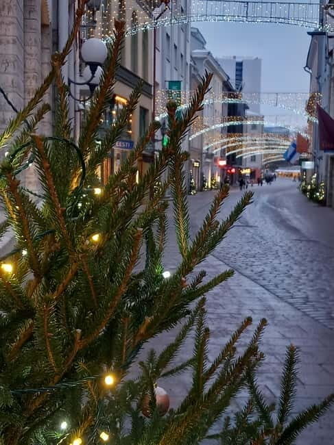 Sightseeing tour "Around Tallinn in 3 hours" - Frequently Asked Questions