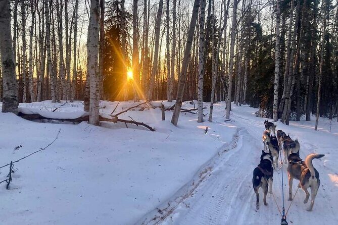 Signature Ridge Top Mush - Who Will Love This Tour?