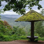 Sigulda Hiking Tour: A Day in the Switzerland of Latvia - The Experience from a Reviewers Perspective