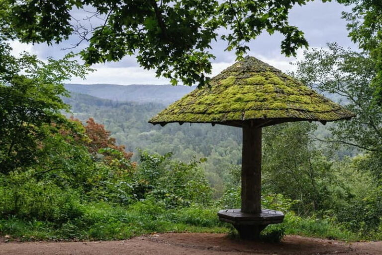 Sigulda Hiking Tour: A Day in the Switzerland of Latvia - The Experience from a Reviewers Perspective