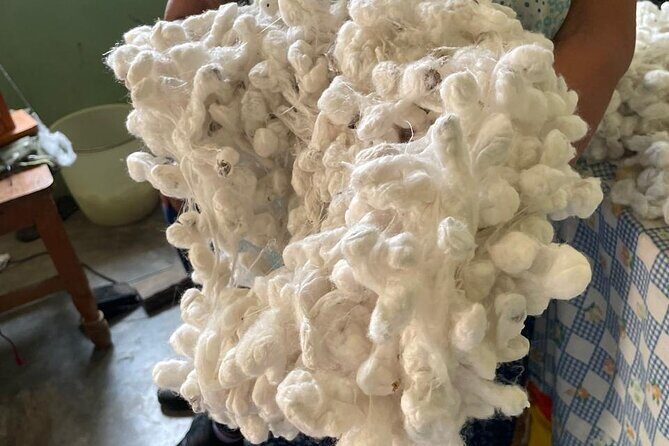 Silkworm and Maguey in the Sierra Norte - The Value of the Experience