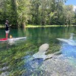 Silver Springs: Manatees, Monkeys, and Natural Spring Tour - Final Thoughts