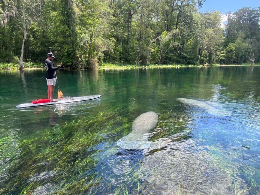 Silver Springs: Manatees, Monkeys, and Natural Spring Tour - Final Thoughts
