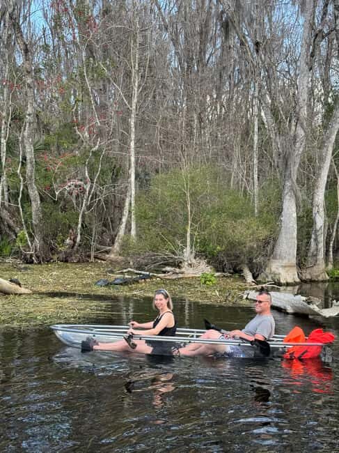 Silver Springs: Silver River Guided Kayak Tour - Cost and Value
