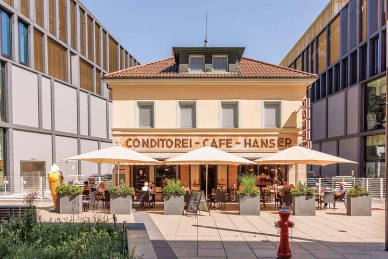 Singen: City tour "Panoramic view and city enjoyment" - Who Will Enjoy This Tour?