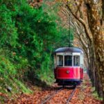 Sintra, Cascais & Cabo da Roca Full-Day from LisbonSmall Group - What Reviewers Say