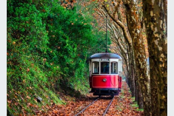 Sintra, Cascais & Cabo da Roca Full-Day from LisbonSmall Group - What Reviewers Say