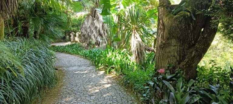 Sintra: Hidden Secrets Mountain Walk with Local Guide - Practical Details and Value