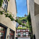 Sip Wine Along the Rhine - Grape Day out from Frankfurt - Detailed Breakdown of the Itinerary