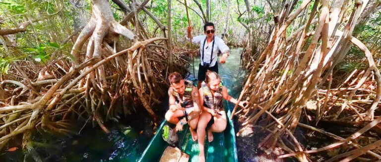 Sisal: Picnic PREMIUM en medio del mar y snorkel manantial - Snorkeling in Crystal Clear Waters and Mangroves