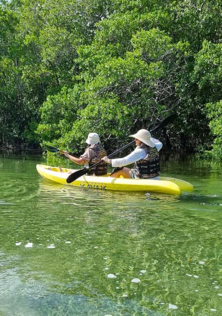 Sisal Yucatán: Snorkeling in a jungle spring and mangrove exploration - Good To Know